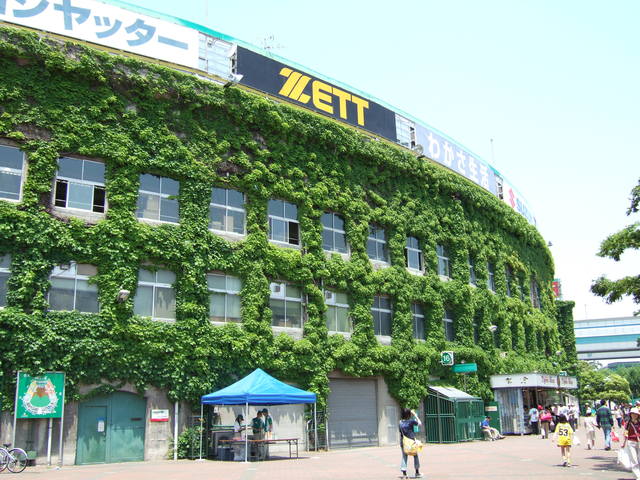 野球場・甲子園球場・どこまでも続くツタの写真の写真