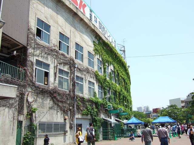 野球場・甲子園球場・つたの切れ目の写真の写真