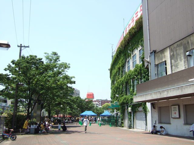 野球場・甲子園球場・バックスクリーン裏付近の写真の写真