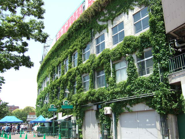 野球場・甲子園球場・ちょっぴりツタがはげているの写真の写真