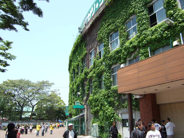 野球場・甲子園球場・タイガースミュージアム付近の外壁の写真の写真