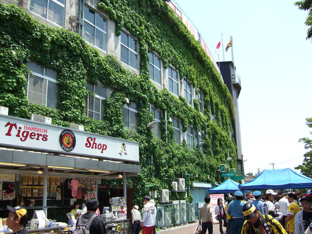 野球場・甲子園球場・外野席付近の賑わいの写真の写真