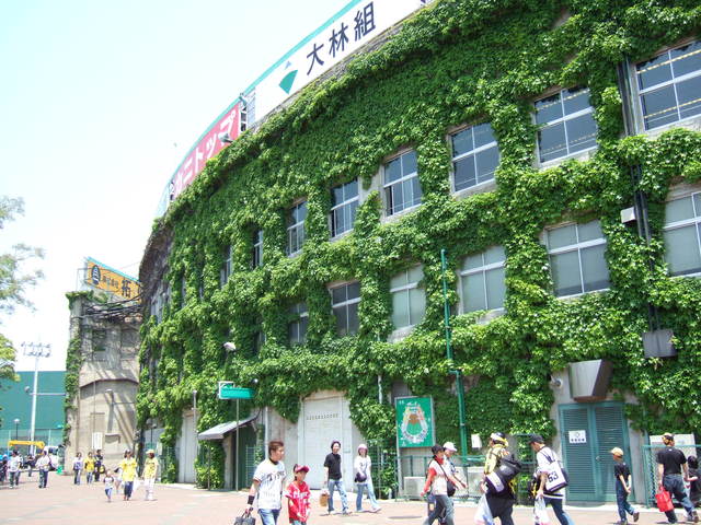 野球場・甲子園球場・奥にアルプス席との境目が見えるの写真の写真