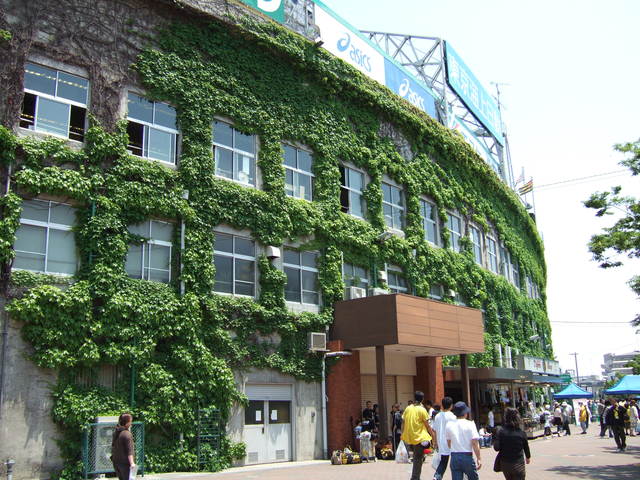 野球場・甲子園球場・照りつける太陽から身を隠す人たちの写真の写真