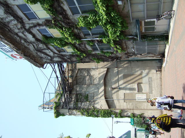 野球場・甲子園球場・外野席方向から見るアルプス席の建物の写真の写真