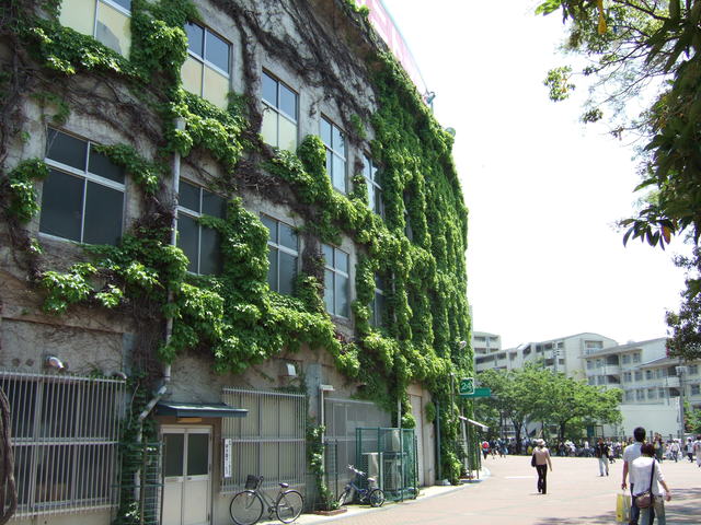 野球場・甲子園球場・ツタが少ない場所もあるの写真の写真