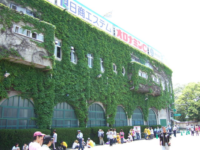 野球場・甲子園球場・ツタのおかげでやや落ち着くの写真の写真