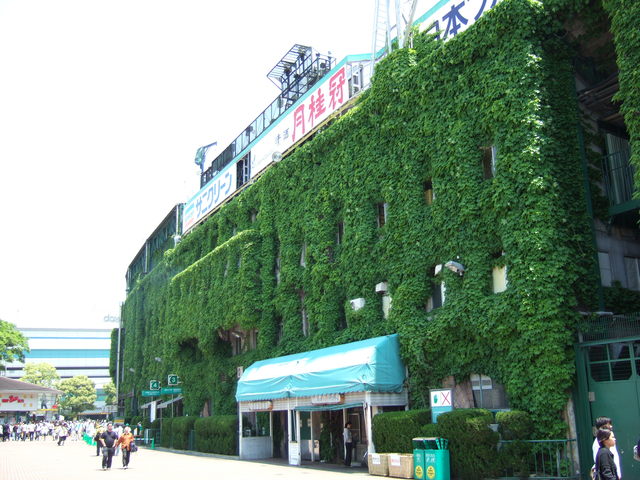 野球場・甲子園球場・コンクリートむき出しだと真夏は照り返しがきつそうだの写真の写真
