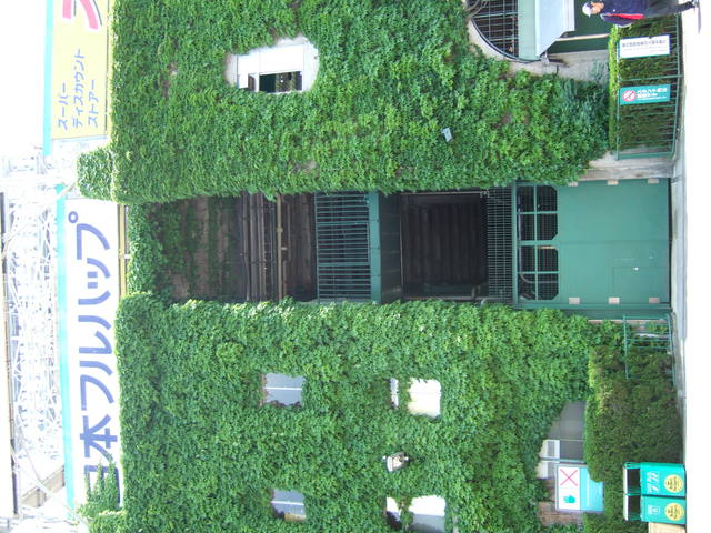 野球場・甲子園球場・建物と建物の境目の写真の写真
