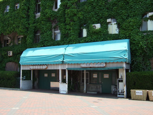 野球場・甲子園球場・一応アイスクリーム売り場の写真の写真