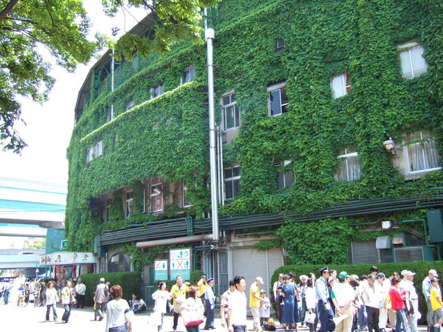 野球場・甲子園球場・開場を待つ人たちの写真の写真
