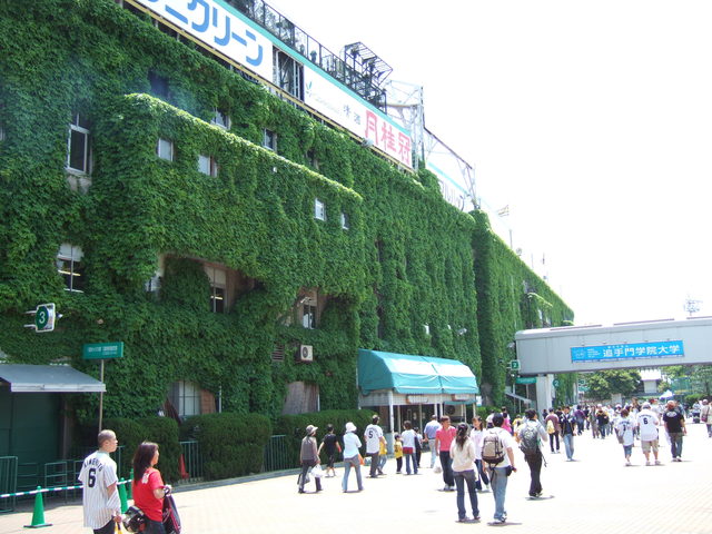 野球場・甲子園球場・三塁側付近の写真の写真