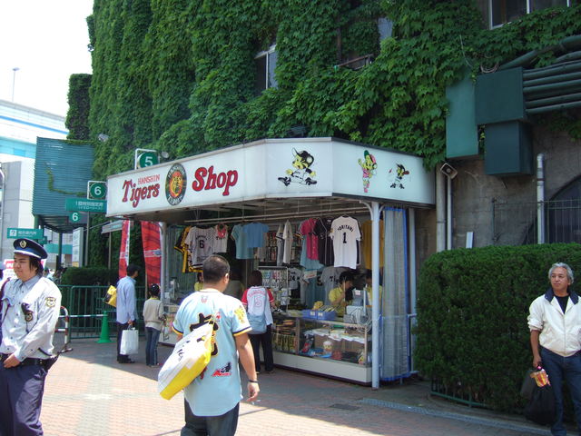 野球場・甲子園球場・タイガースショップの写真の写真