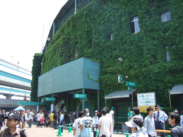 野球場・甲子園球場・真夏の日差しはとても強いの写真の写真