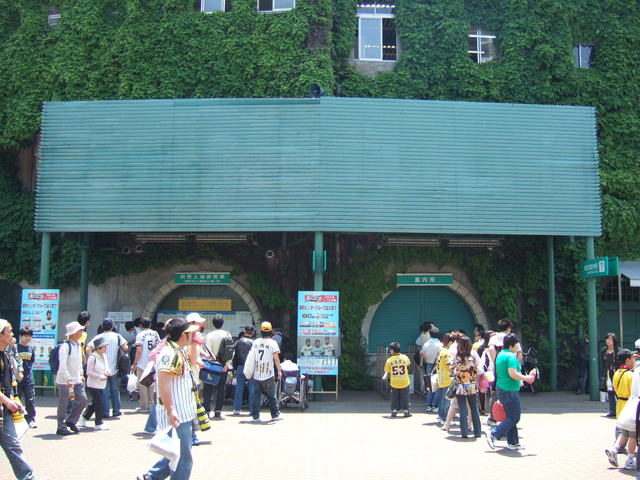 野球場・甲子園球場・荷物の搬入所の写真の写真