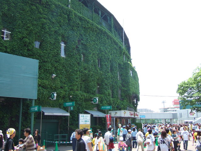 野球場・甲子園球場・人通りが多くなってきたの写真の写真