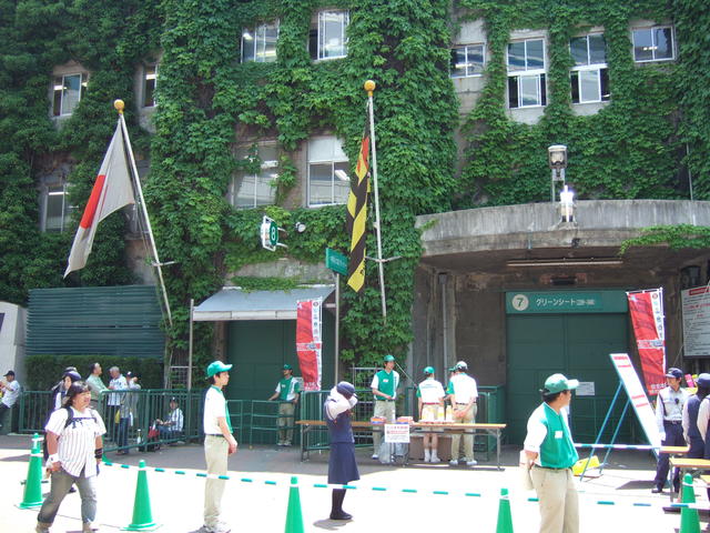 野球場・甲子園球場・入場ルート用の三角コーンが並ぶの写真の写真