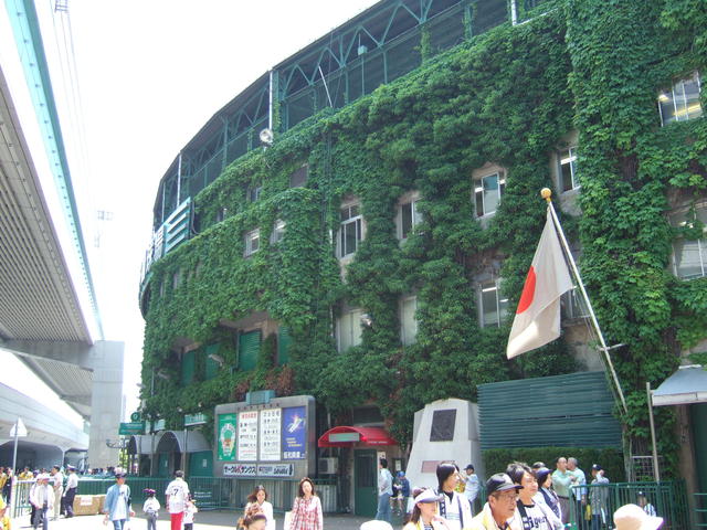 野球場・ちょっとしたオアシスのようにも感じる阪神甲子園球場の写真の写真