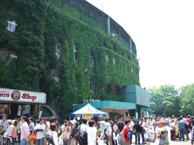 野球場・甲子園球場・大正時代の野球場だけあって歴史を感じされるツタの写真の写真
