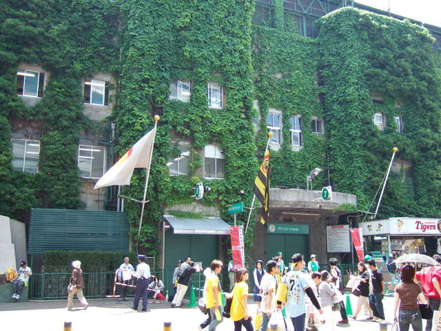 野球場・甲子園球場・正面付近には国旗と球団旗の掲揚の写真の写真