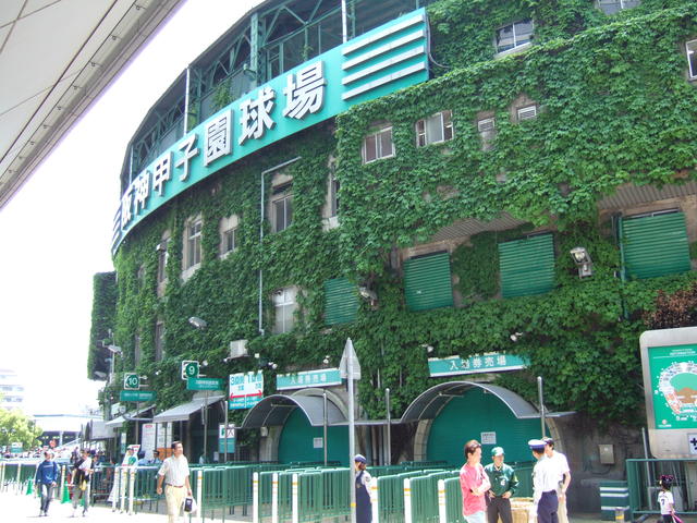 野球場・甲子園球場・正面のつたの写真の写真