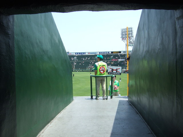 野球場・甲子園球場・ひときわまぶしく感じる空の写真の写真