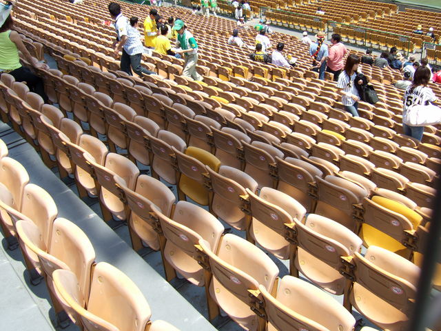 野球場・甲子園球場・甲子園球場にしては豪華なベンチの写真の写真