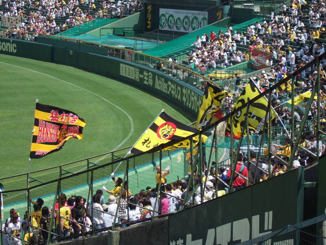 野球場・甲子園球場・応援旗が振られるの写真の写真