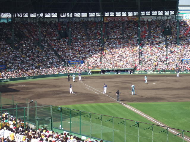 野球場・甲子園球場・交流戦ユニホームの写真の写真