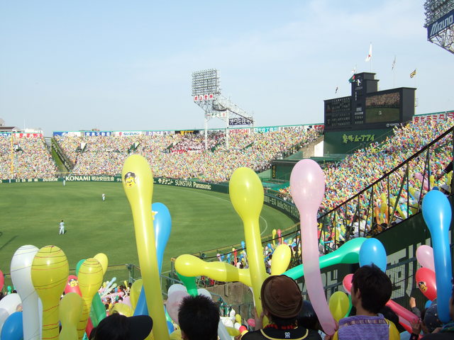 野球場・甲子園球場・風船の準備開始の写真の写真