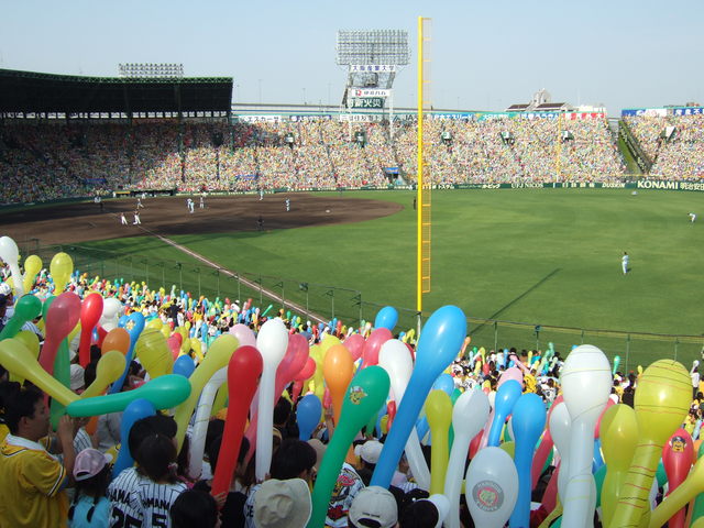 野球場・甲子園球場・カラフルできれいの写真の写真