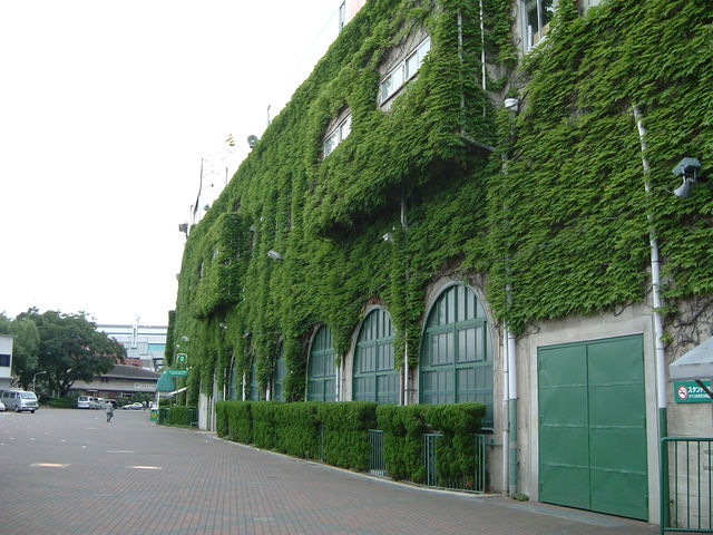 野球場・人気もまばらな阪神甲子園球場の写真の写真