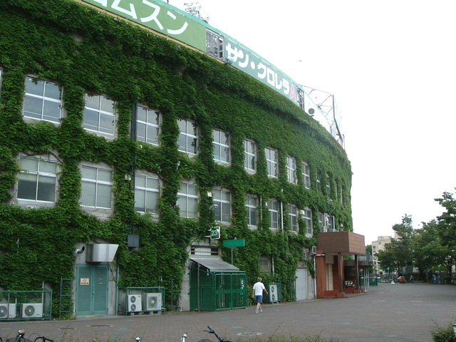 野球場・甲子園球場・外野席付近のつたの写真の写真