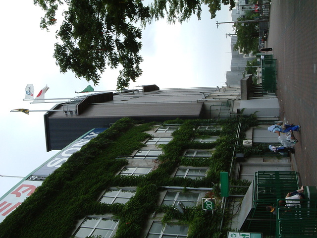 野球場・甲子園球場・センター付近の球場建物の写真の写真