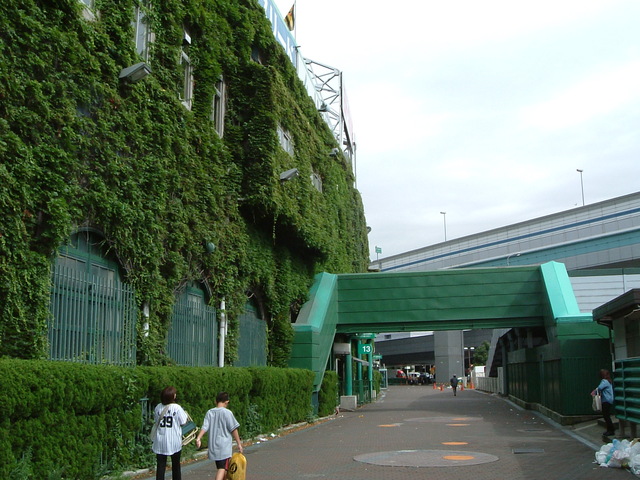 野球場・甲子園球場・三塁側アルプス席付近の写真の写真