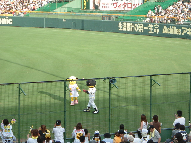 野球場・甲子園球場・トラッキーとラッキーの写真の写真
