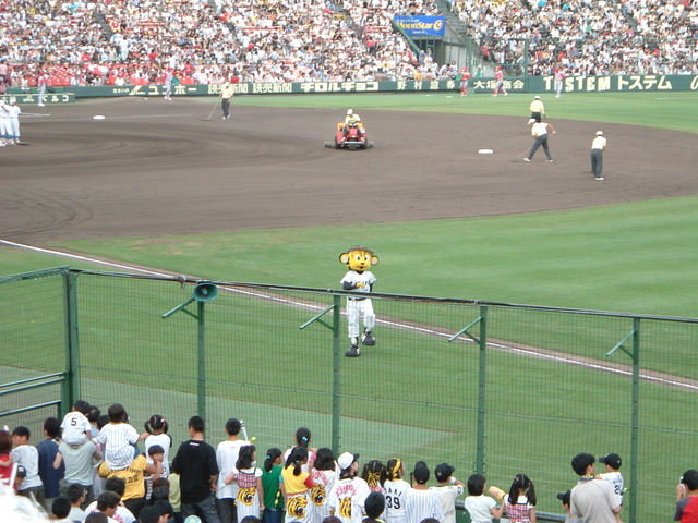 野球場・甲子園球場・阪神タイガースのマスコット人形トラッキーの写真の写真