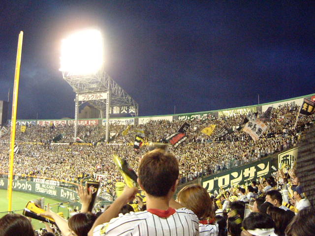 野球場・甲子園球場・無数の旗がたなびく阪神の応援旗の写真の写真