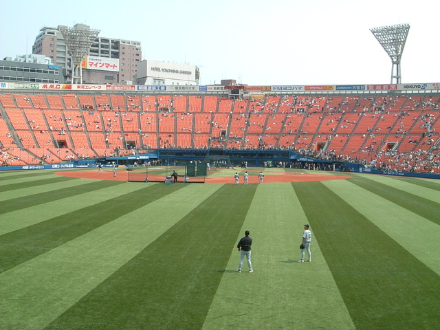 野球場・横浜スタジアム・オレンジ色の客席がよく見えるの写真の写真
