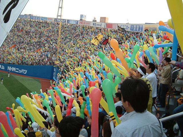 野球場・横浜スタジアム・今か今かと待ちくたびれるの写真の写真