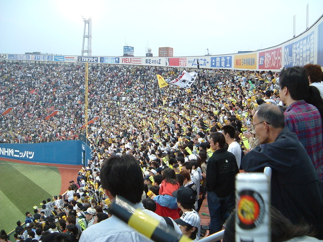 野球場・横浜スタジアム・レフト側観客席の写真の写真