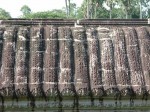 世界遺産・アンコール・ワット・屋根の模様