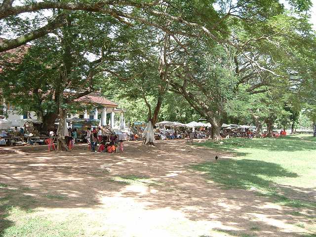 世界遺産・アンコール・ワットの写真の写真