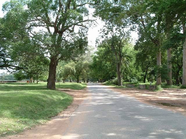 世界遺産・アンコール・ワットの写真の写真