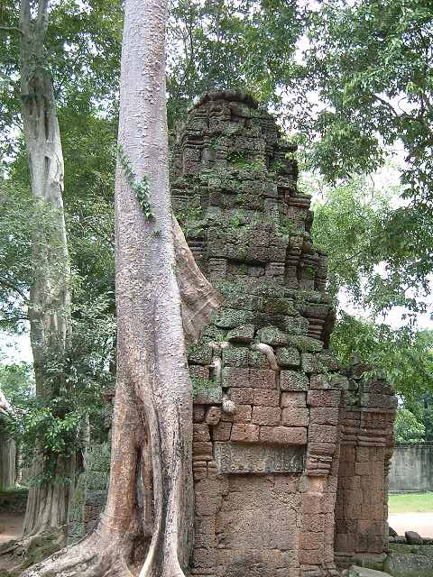 世界遺産・タ・プロームの写真の写真