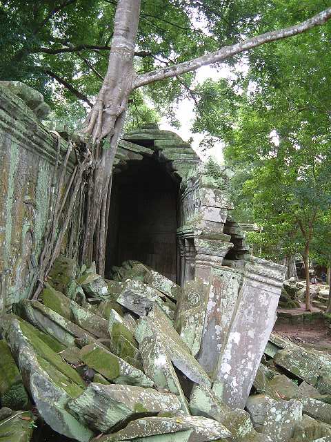 世界遺産・タ・プロームの写真の写真