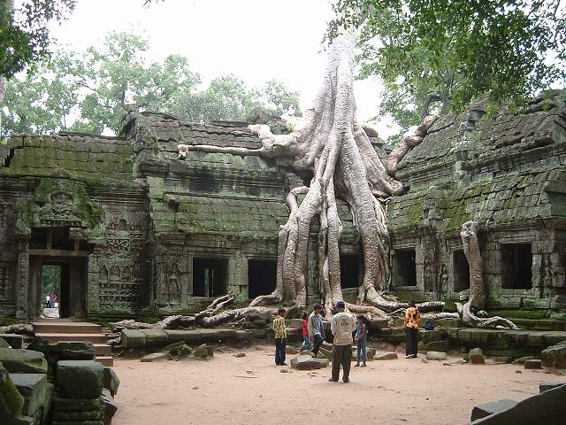 世界遺産・タ・プローム・巨木が回廊をわしづかみの写真の写真
