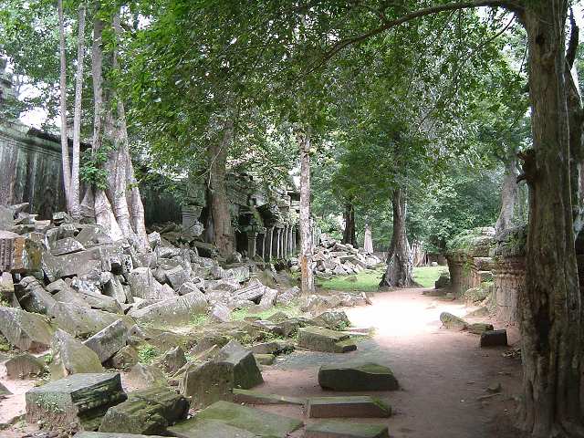 世界遺産・タ・プロームの写真の写真