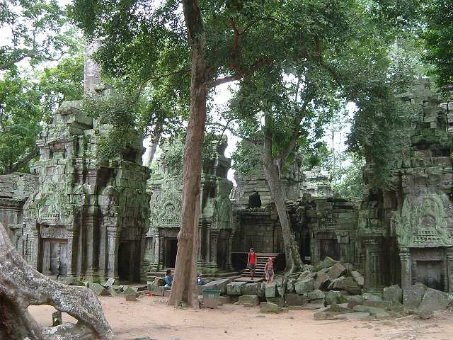 世界遺産・タ・プロームの写真の写真