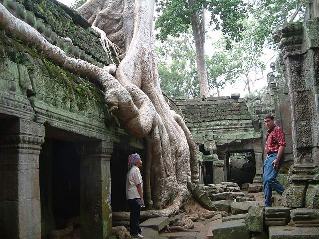 世界遺産・タ・プロームの写真の写真